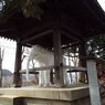 観音寺8