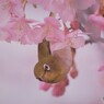 河津サクジロー、、、。