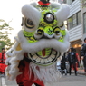 獅子舞５