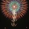 花火ってほんとに花の形だなぁ