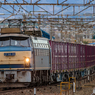 2018.3.6 5094レ EF66 30