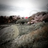 風景1 2012 iPhone 4S