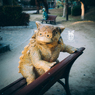 アンキロサウルス