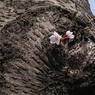 IMGP0162-2L