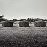 写シンの由来 (16)