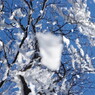仰烏帽子山登山 ぱらぱらと(2)