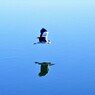 Fly Away