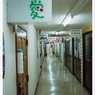PENTAX_MV1_FUJI100_ (22)