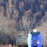 ｌａｔｅ　ａｕｔｕｍｎ　スーパーおおぞら