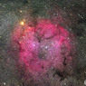 IC1396