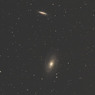M81　M82（おおぐま座）