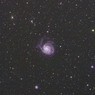 M101（おおぐま座）