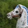 風の中の廃馬