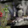 東慶寺内