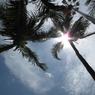 Pattaya