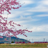 2018.3.21 EF66 27 5074レ①