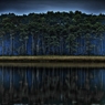 Doubtful forest