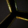 trigonal pyramid　と　星