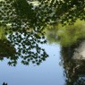 DSC05079