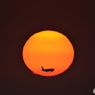 2018-3-24 夕日と飛行機2