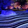 承天寺の庭（ブルーライト）
