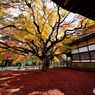 雷山千妙如寺大悲王院