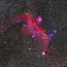 わし星雲