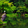 Lonely bird