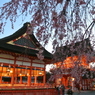 しだれ桜と伏見稲荷