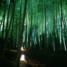 高台寺（竹林）