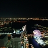 ランドマークナイト