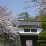 和歌山城の桜 #8　岡口門