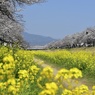 休日のひととき