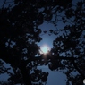 夕暮れ
