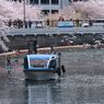 観桜船２