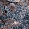 みなもを染める２