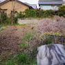 IMGP4767