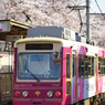 さくらトラム
