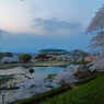 Ｓａｋｕｒａ part４