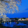 Ｓａｋｕｒａ part６