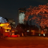 Ｓａｋｕｒａ part１４