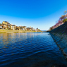 ～京都 桜　鴨川～