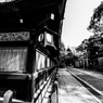 ～京都 桜　八坂神社～