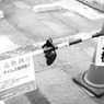 月極女