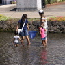 街中の湧水で遊ぶ親子
