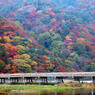 渡月橋 秋