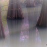 春色の水面