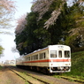 常総の春