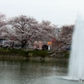 水しぶき2