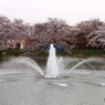 水しぶき3